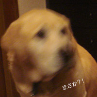 2008_2_3