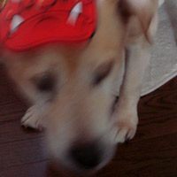 2008_2_3