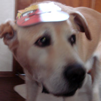2008_2_3