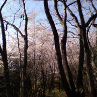 2008_4_1