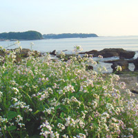 2008_4_25