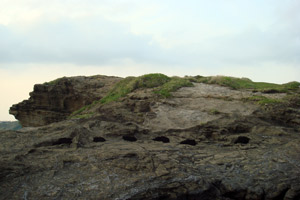 2008_4_25