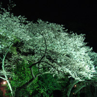 2008_4_4