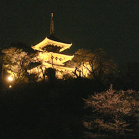 2008_4_4