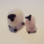 wool100%2