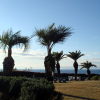 2007_12_23