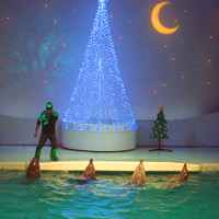 2007_12_23