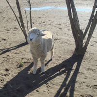 2007_12_24