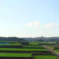 2007_12_31