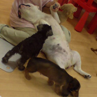 20080724