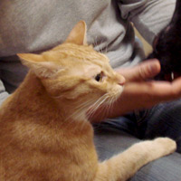 2008_11_11
