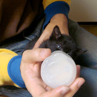2008_11_11