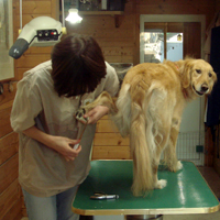 2008_12_12