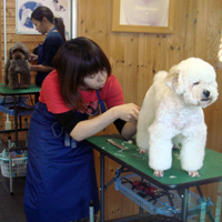 2008_12_12