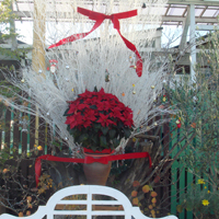 2008_12_19