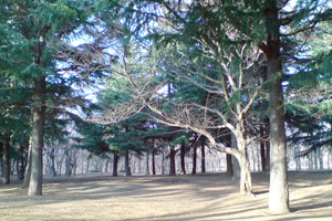 2008_1_25