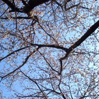 2008_3_26_2