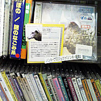 2008_3_9