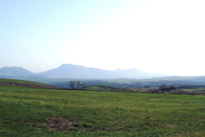 2008_5_3