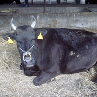 2008_5_3