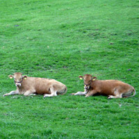 2008_5_5