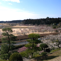 2009_2_18