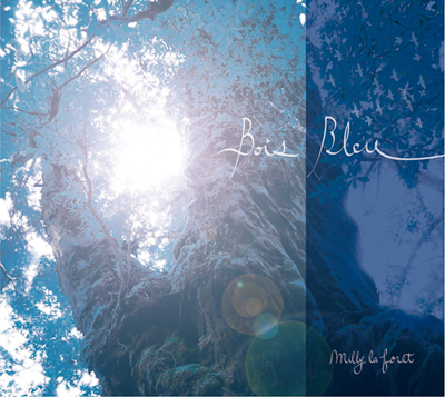 bois bleu ジャケ