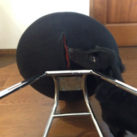 chair