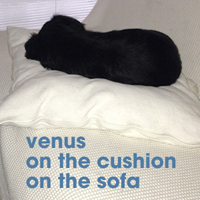 venus1