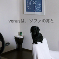 venus1