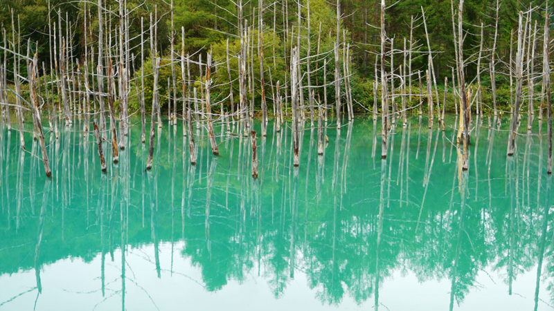 北海道５