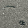 navi4